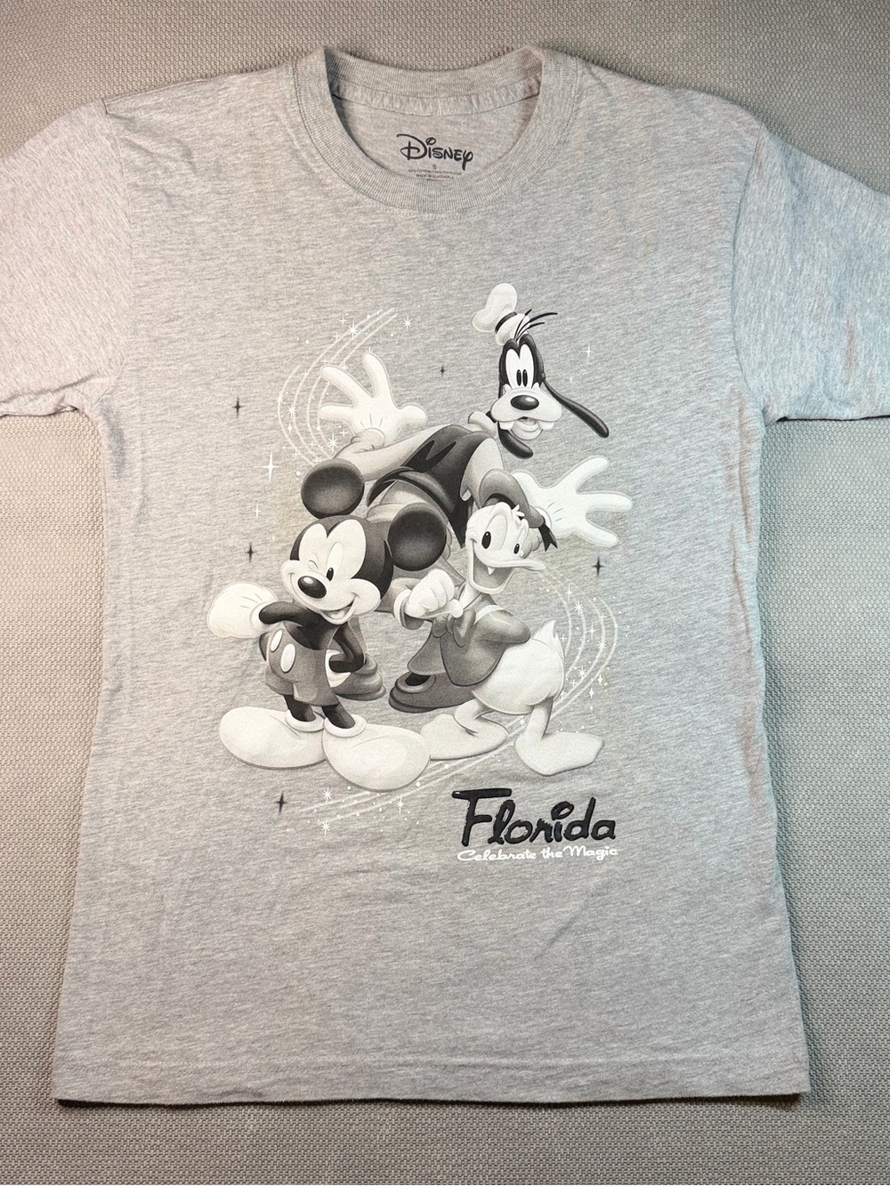 Disney Gray Mickey, Donald & Goofy Florida Graphic Tee - Picture 1 of 9